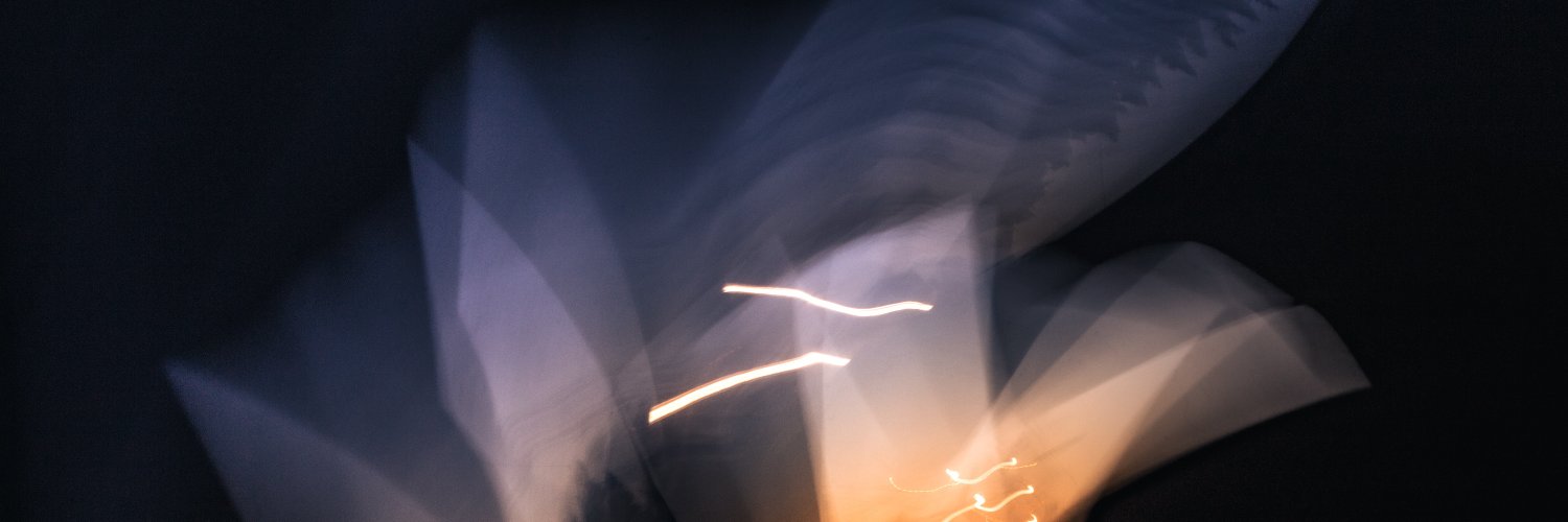Sander van Bree's banner