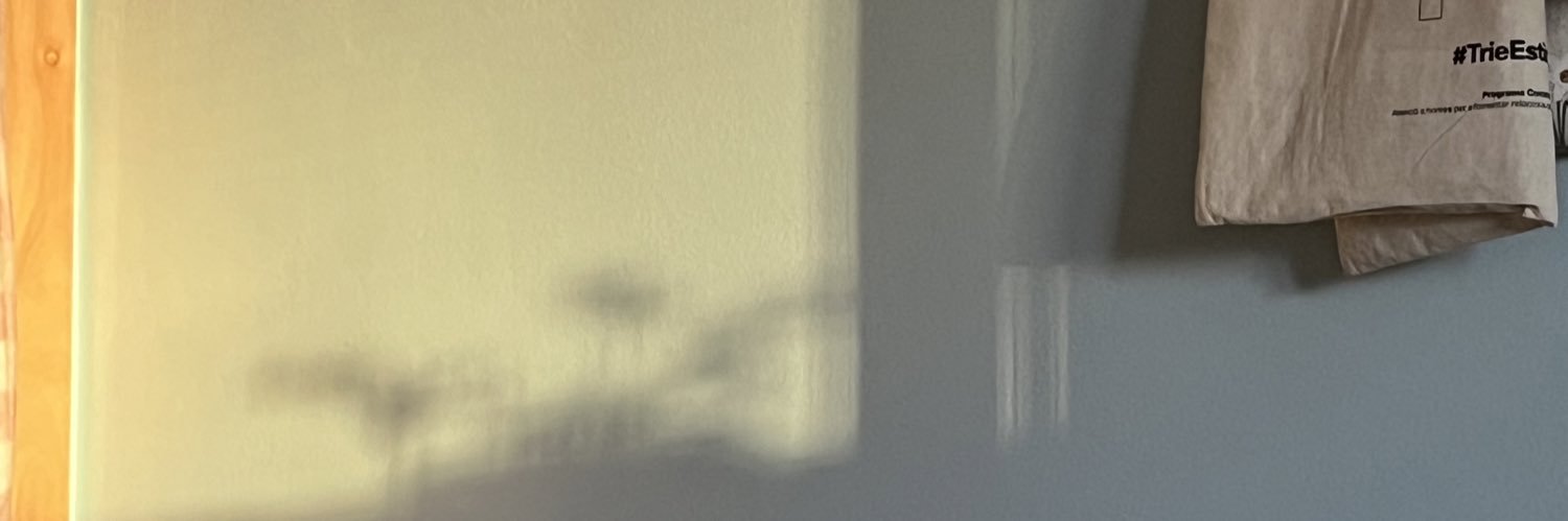 raquel banner