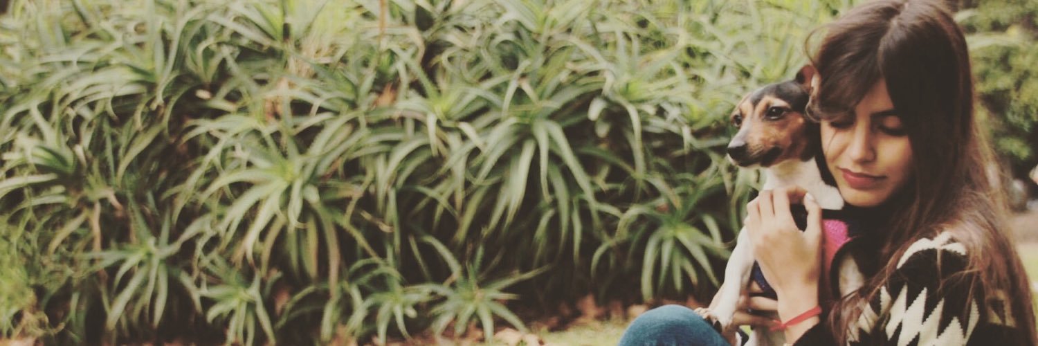 AlbaniSanchez's profile banner image