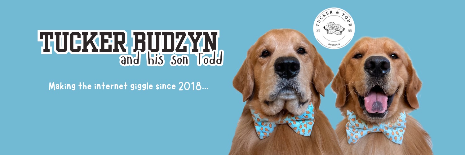 Tucker Budzyn's banner