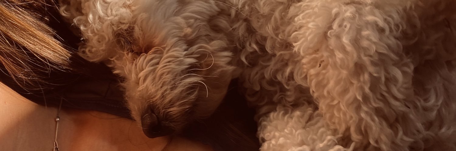 traaverso03's profile banner image