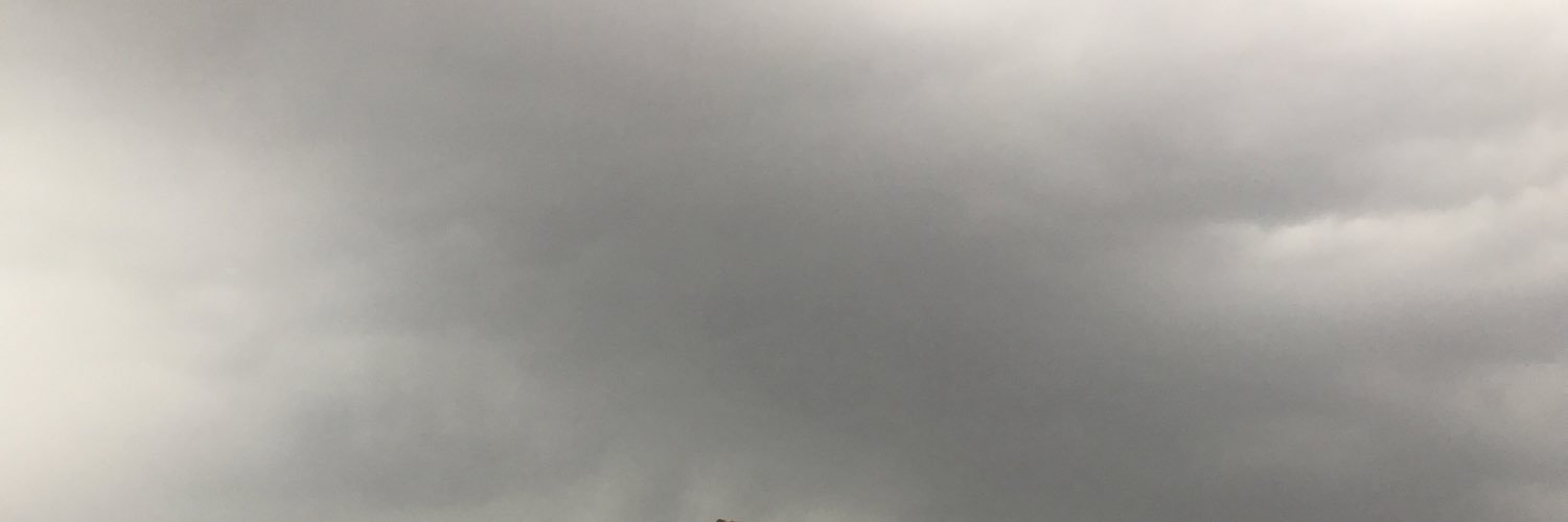 الفارس banner