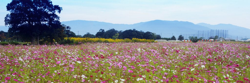 Tokyo Kid🇺🇦 banner