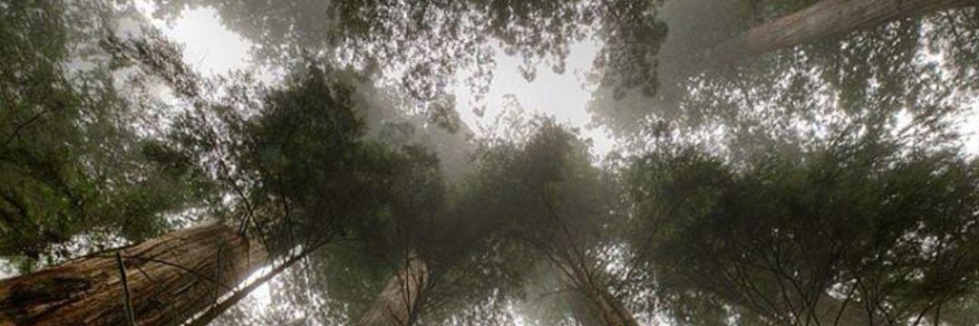 TaniaO76's profile banner image