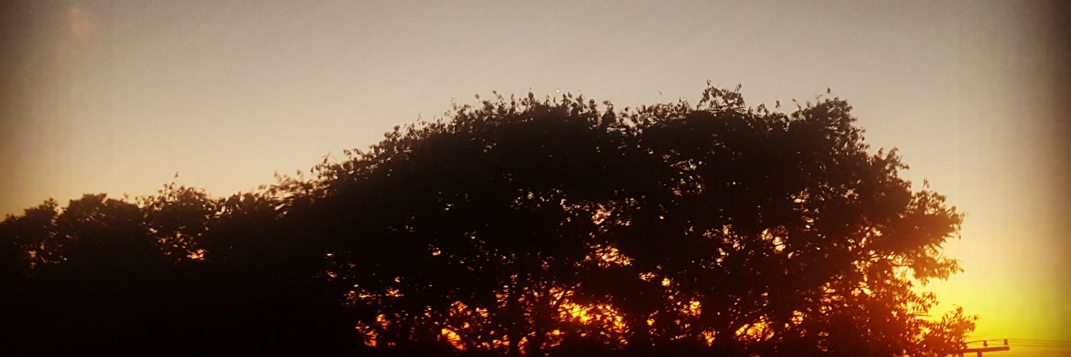 ElStyleFree1's profile banner image