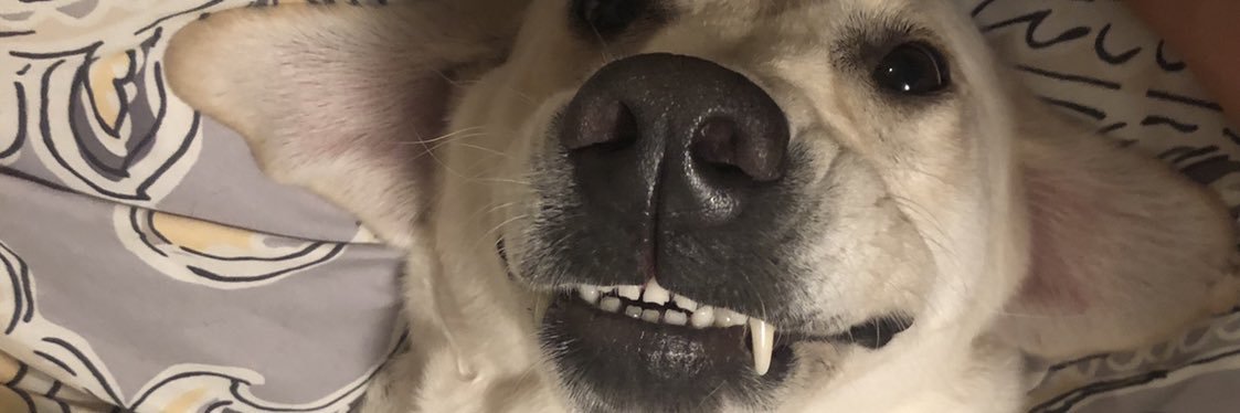 StoryAvery's profile banner image