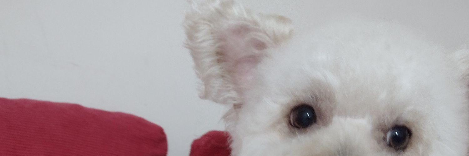 Melibdlv's profile banner image