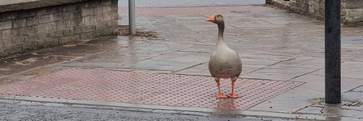 TechnicallyRon (On all the platforms) banner