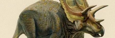 swampfrog16's profile banner image