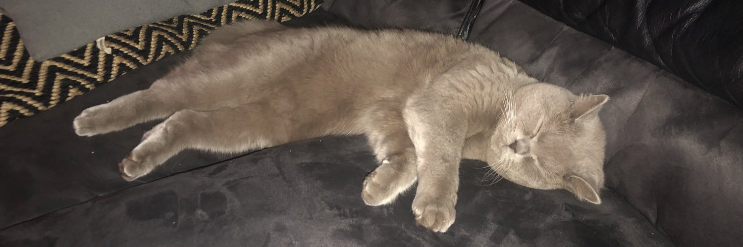 YFloof's profile banner image
