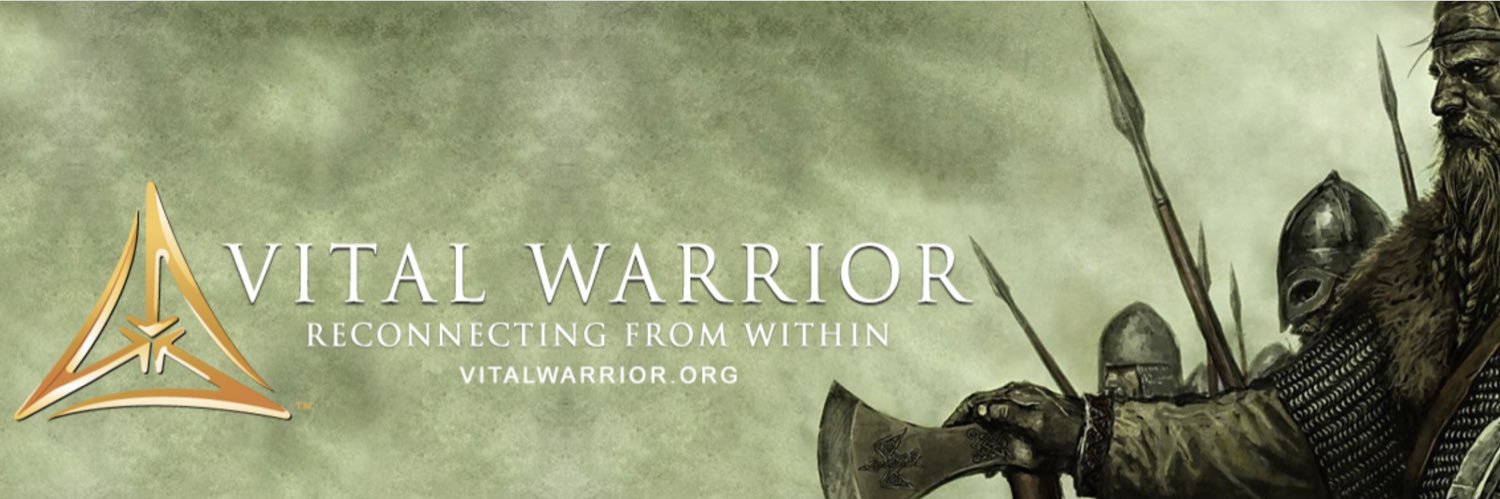 VitalWarriorOrg's profile banner image