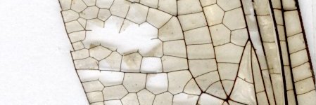 sclanton58's profile banner image