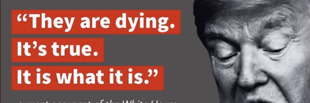 Trumpster4L's profile banner image