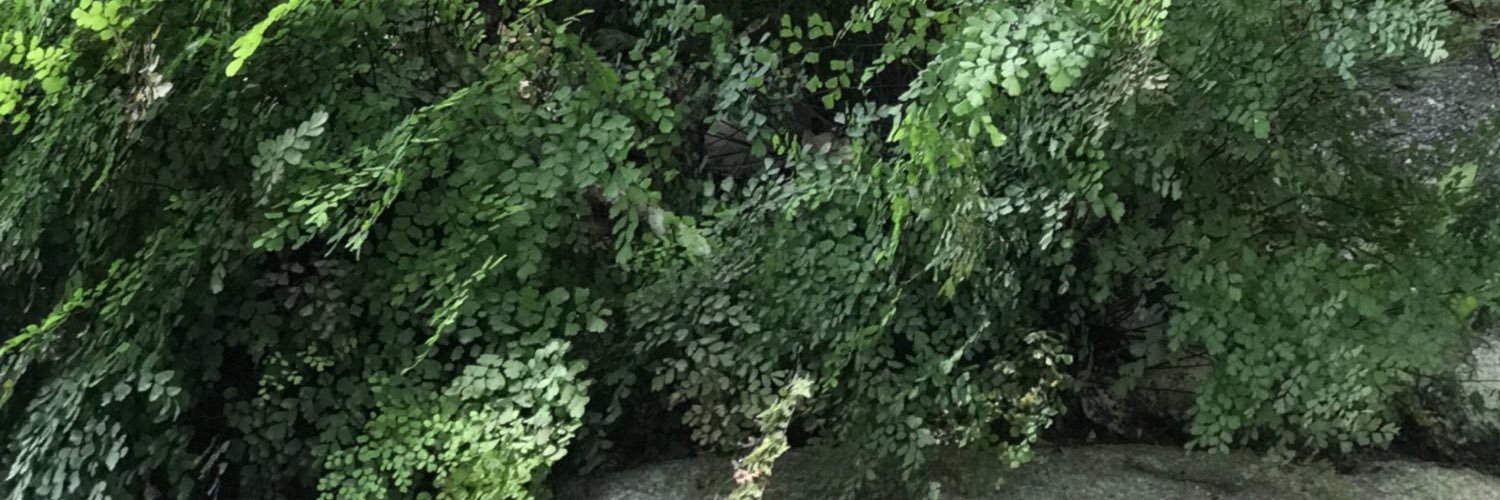 youscath's profile banner image