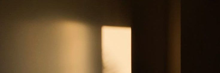 ann ⋆.ೃ࿔*:･ banner