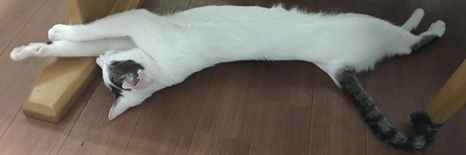 kokorotto's profile banner image