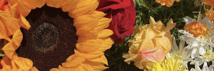 ShhhMoreno's profile banner image
