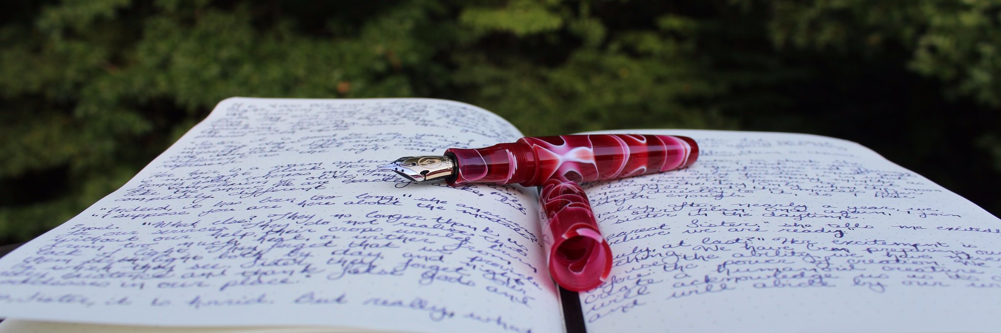 authorracheldlf's profile banner image