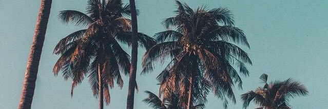thifa_gr's profile banner image