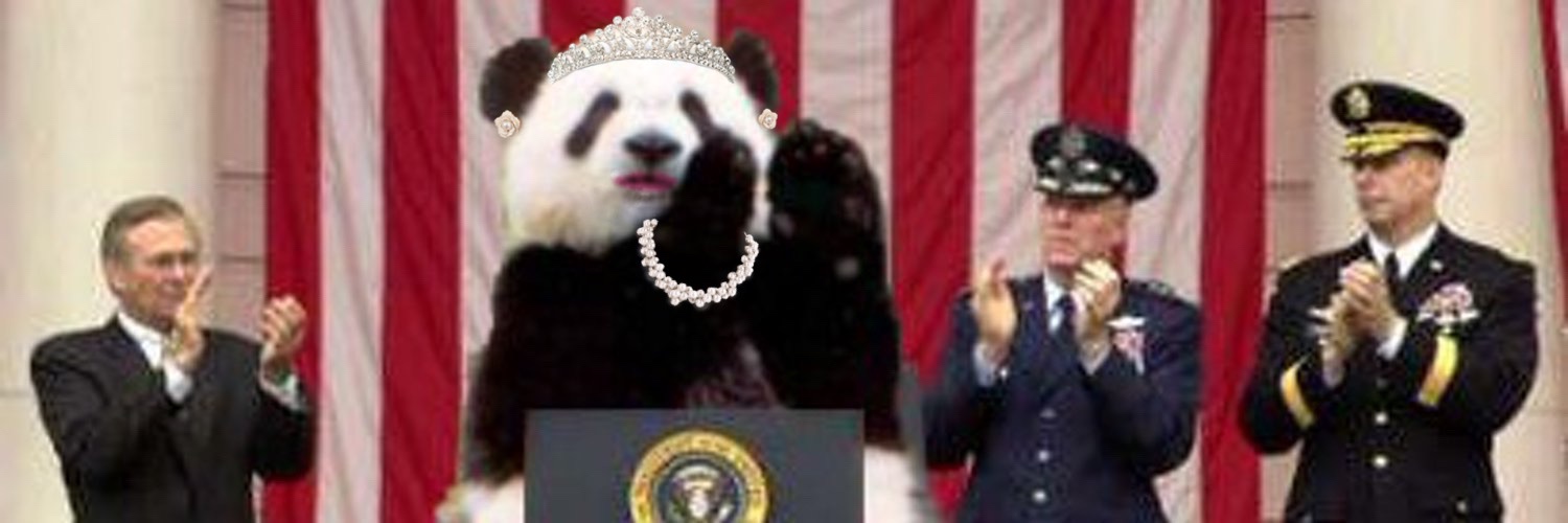 MsPanda007🐼 banner