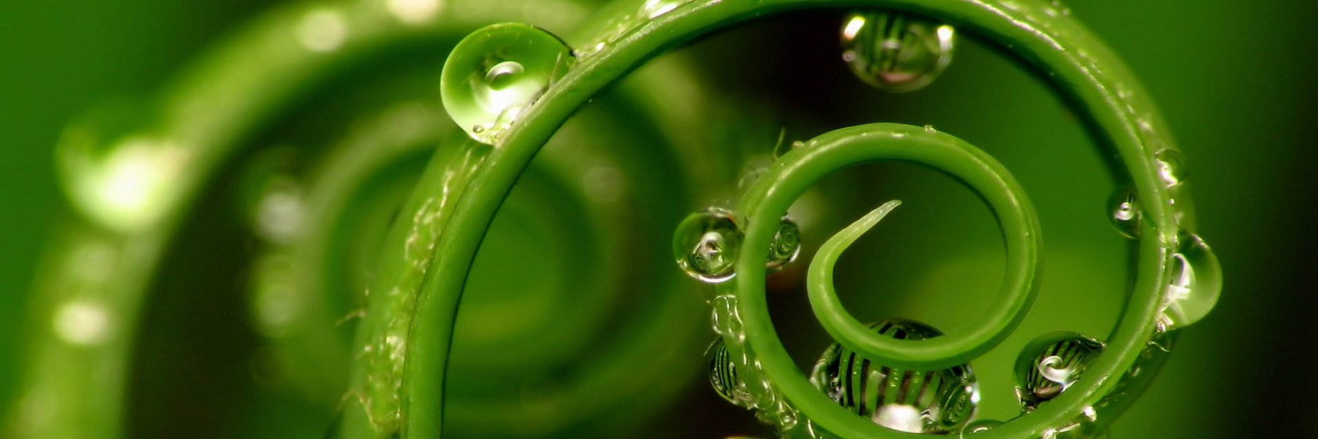 tom_nt's profile banner image