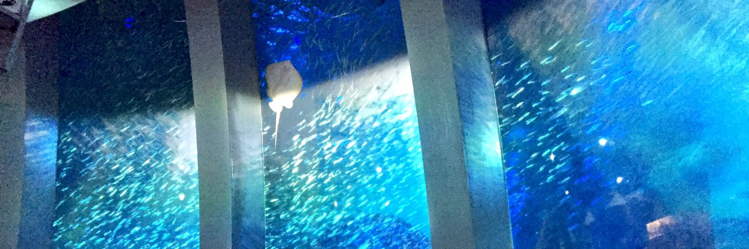 な な🤖⏳✌︎︎︎(*˙꒳˙*)✌︎ banner