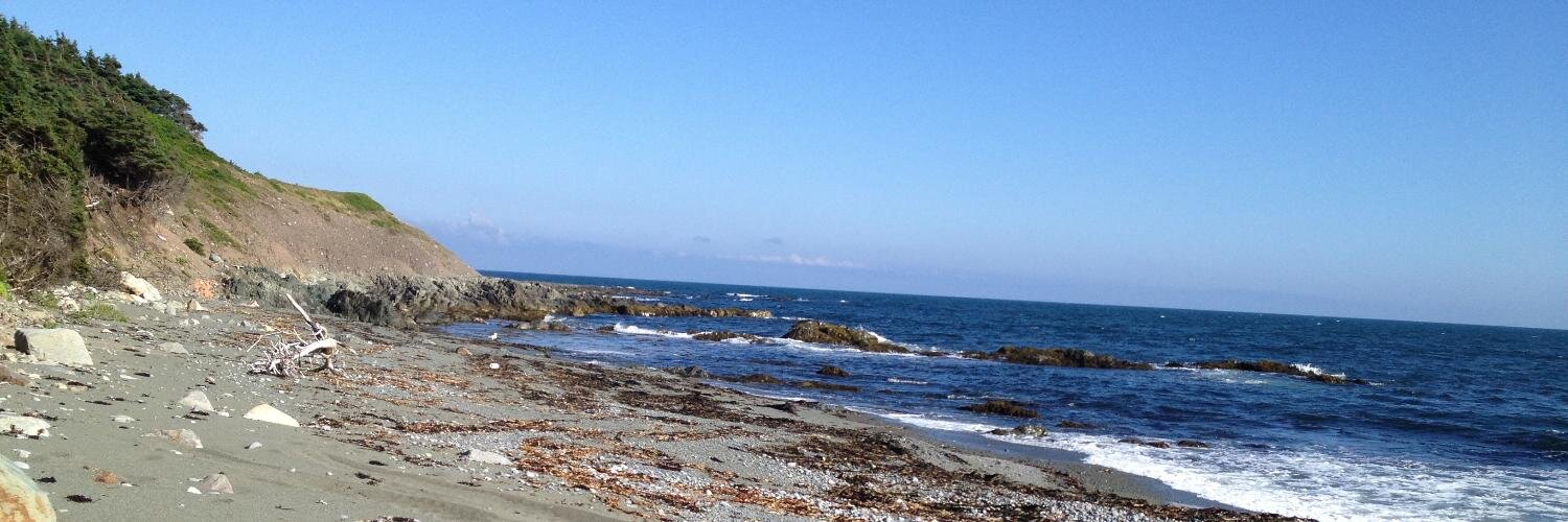 ▄︻デ ̷𝓑𝓮𝓻𝓻𝔂 🫐�̷�̷══━一 banner