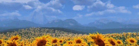 Doodle | @Doodledankk.bsky.social banner