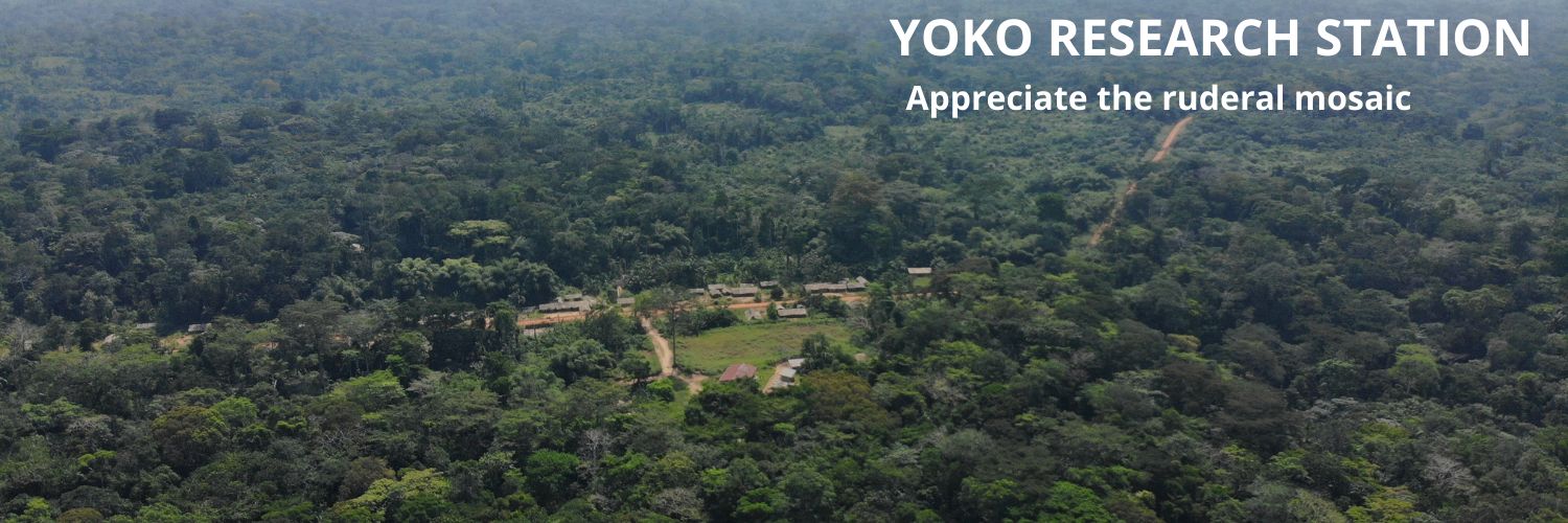 Isaac Makelele banner