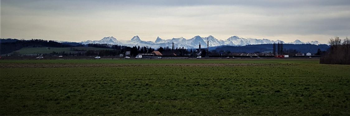BernerUmzug's profile banner image