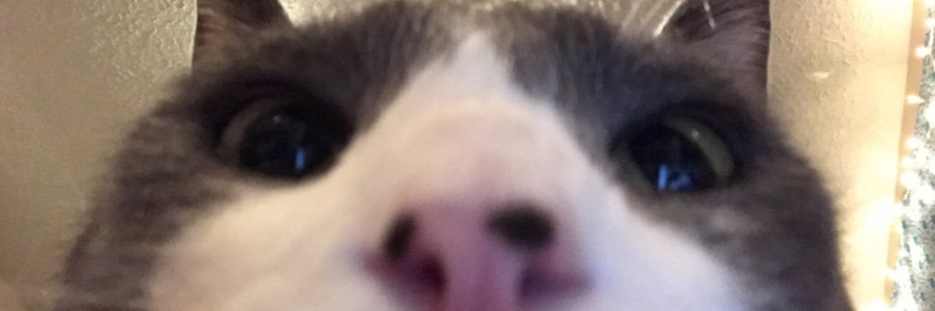 abby_m23's profile banner image