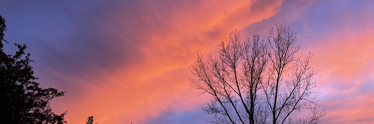 Noyb1111111's profile banner image