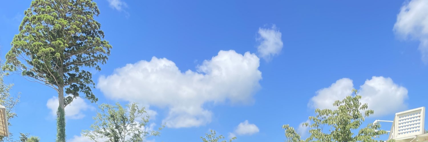 koico's profile banner image