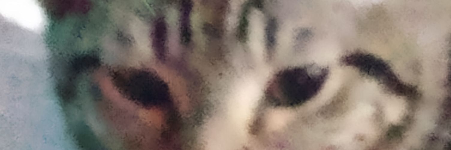 sonabors's profile banner image