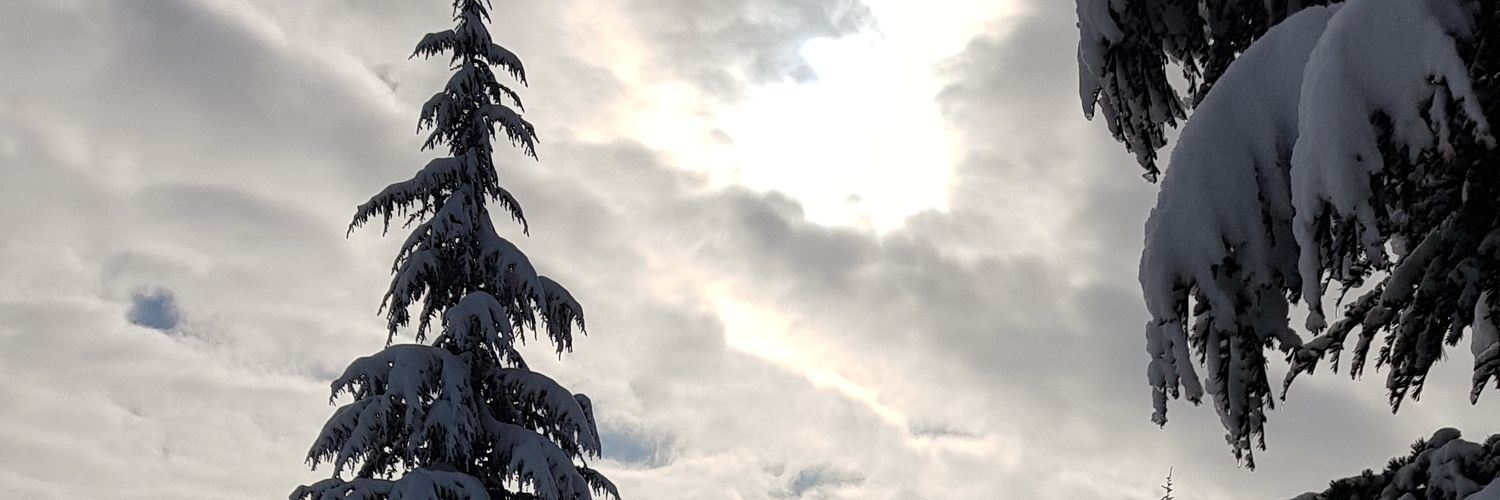 osakcer's profile banner image