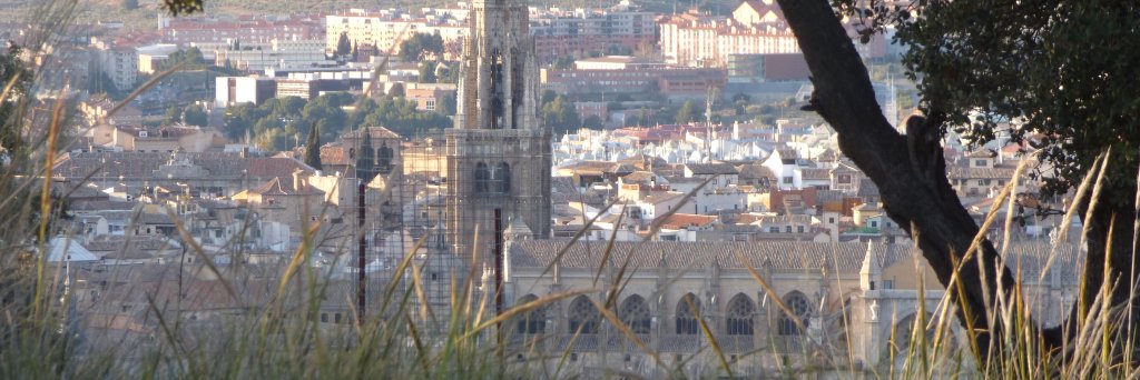 grecoverde's profile banner image