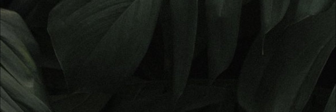 SarenaAndreaa's profile banner image
