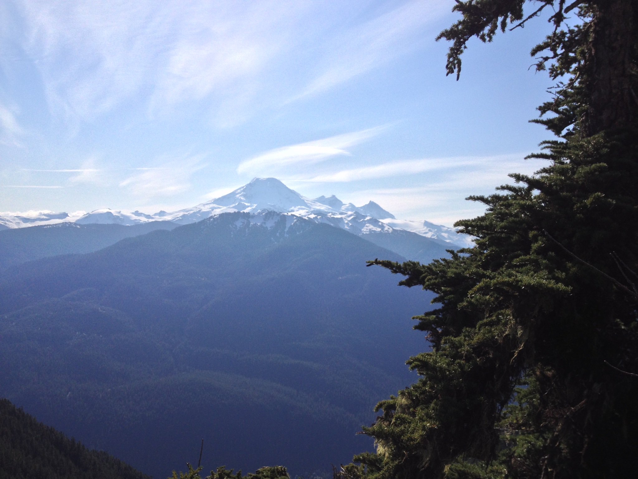 Vincent K Buys banner