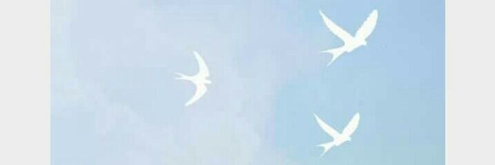 C🔥 banner