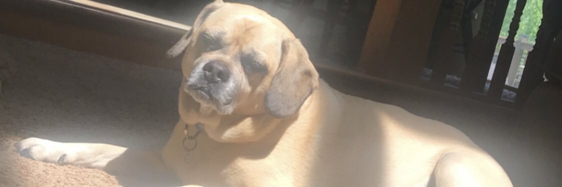 JakePlonka's profile banner image