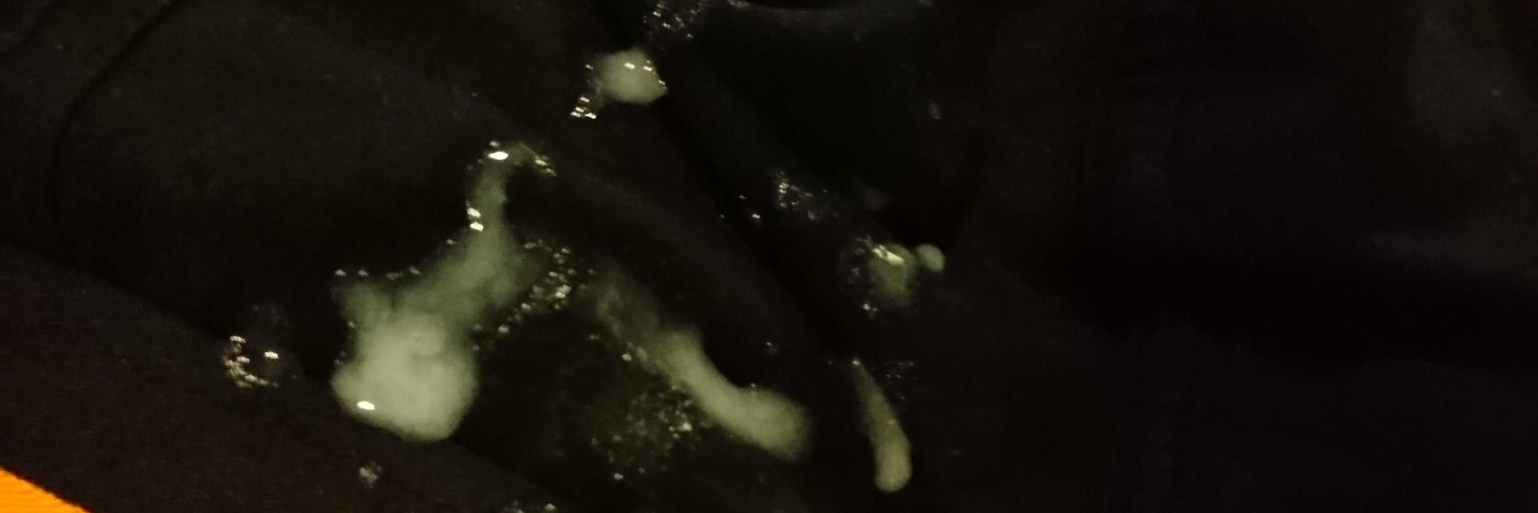 frenchadDICKted's profile banner image