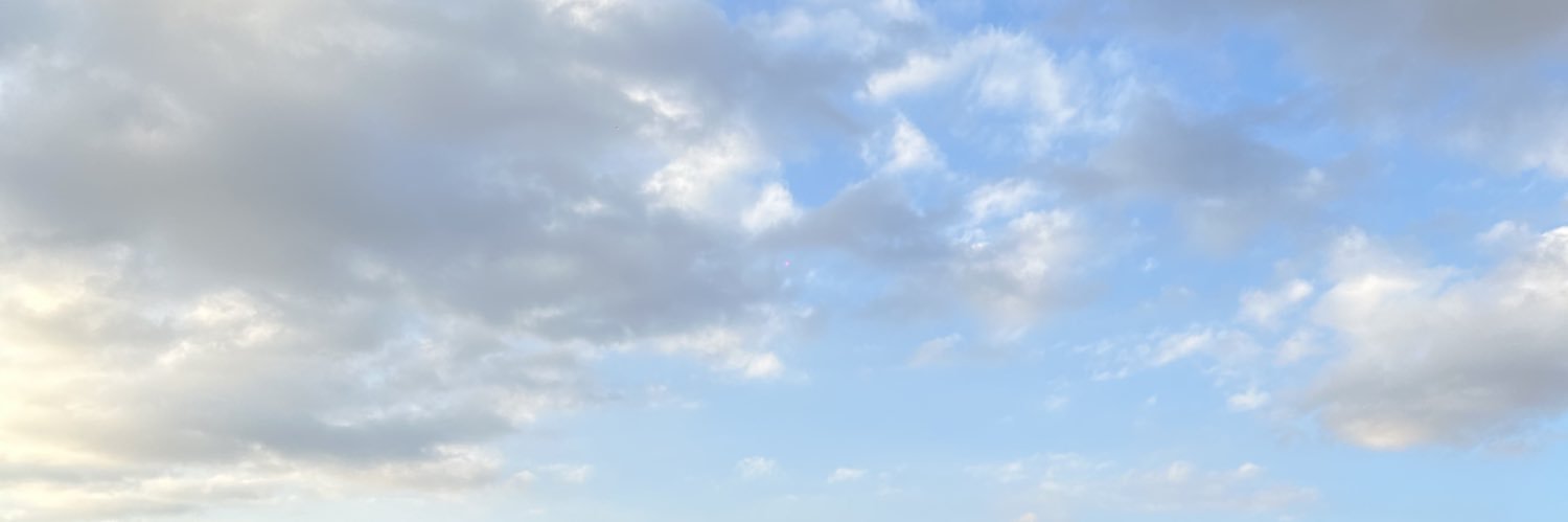 magvalina's profile banner image