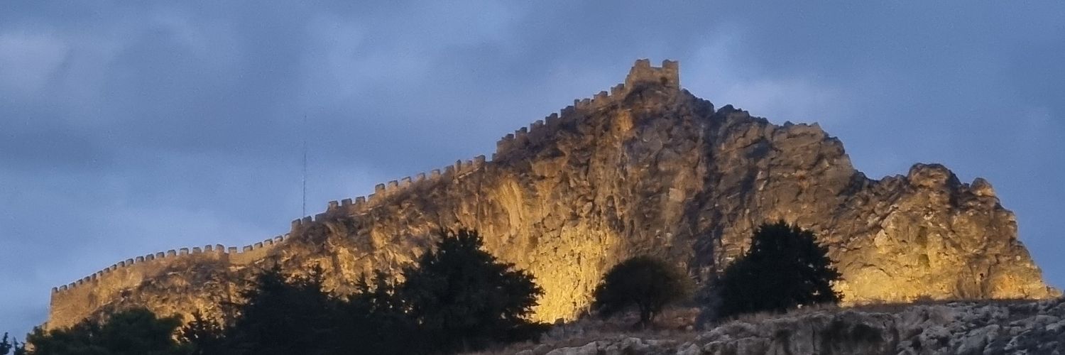 Danielle 👋 banner