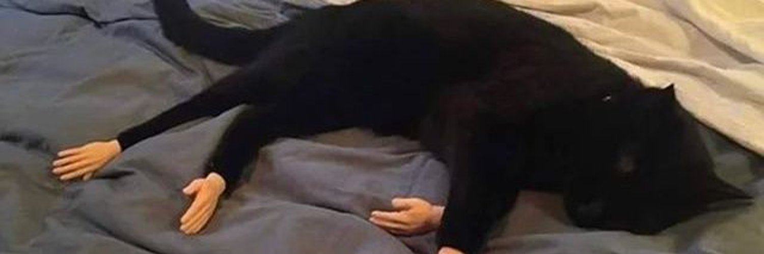 ptatooos's profile banner image