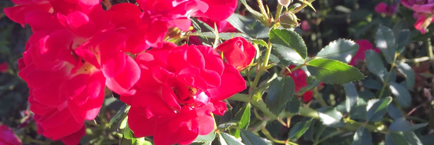 OWT6ix's profile banner image