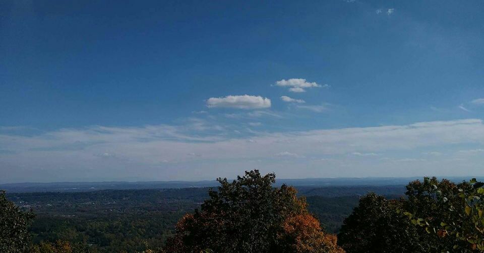 BrettTucciaron1's profile banner image