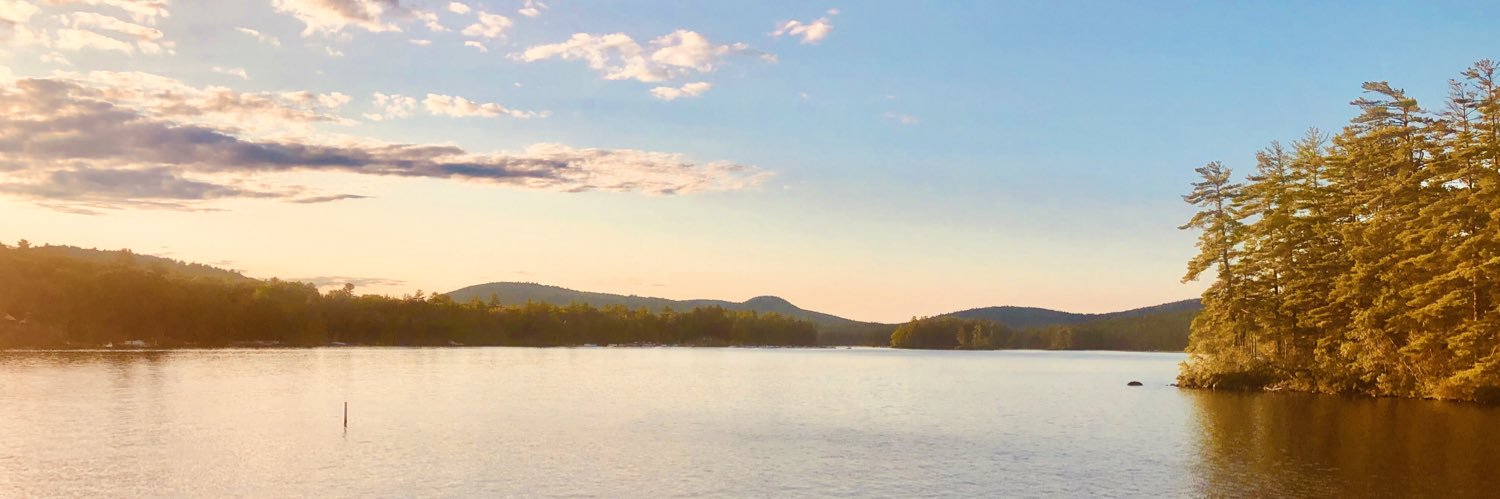 MsAnketell's profile banner image
