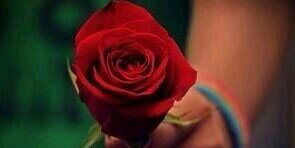 shadi624's profile banner image