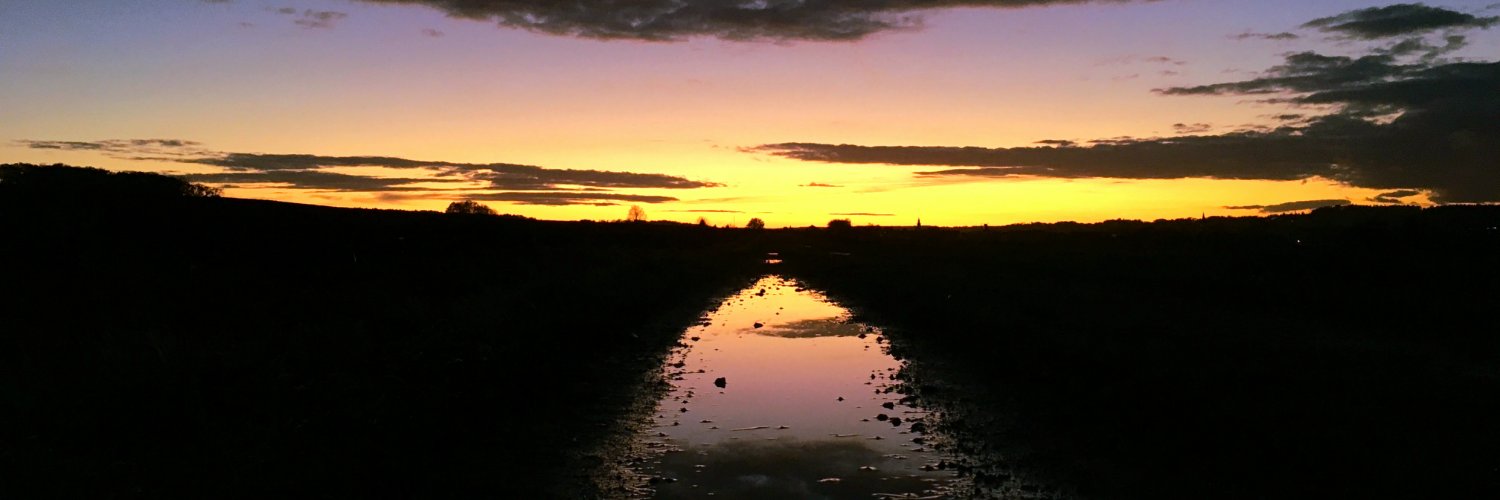 From the moon 🌙 banner