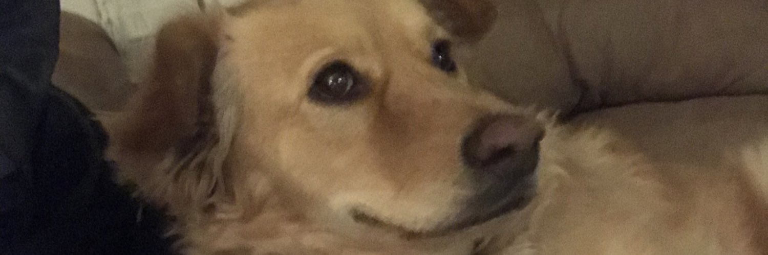 Jakobee4's profile banner image
